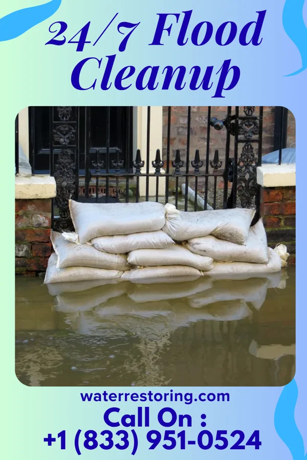 24/7 Flood Cleanup in Ronneby, MN