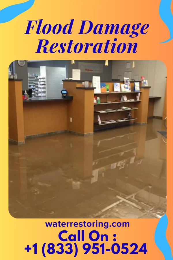 Flood Damage Restoration in Ronneby, MN