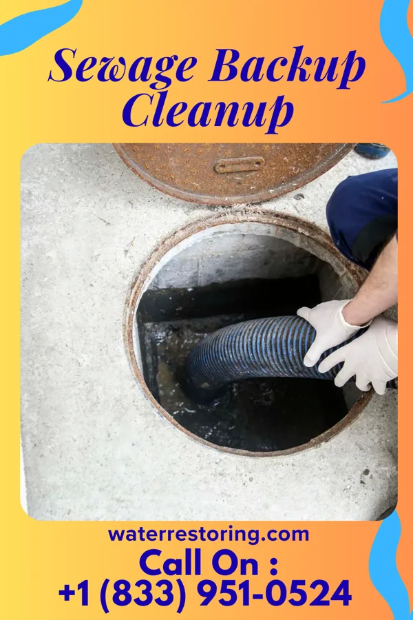 Sewage Backup Cleanup in Ronneby, MN