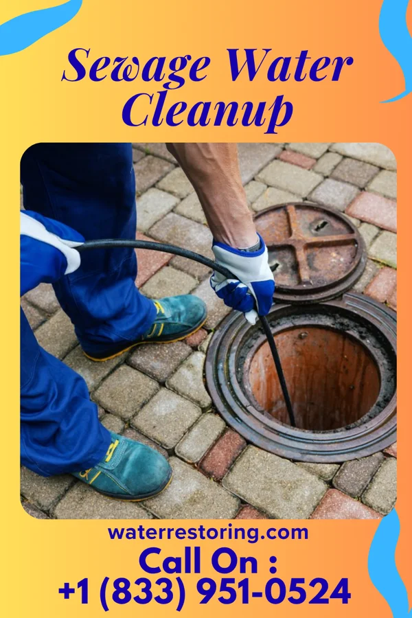 Sewage Water Cleanup in Ronneby, MN